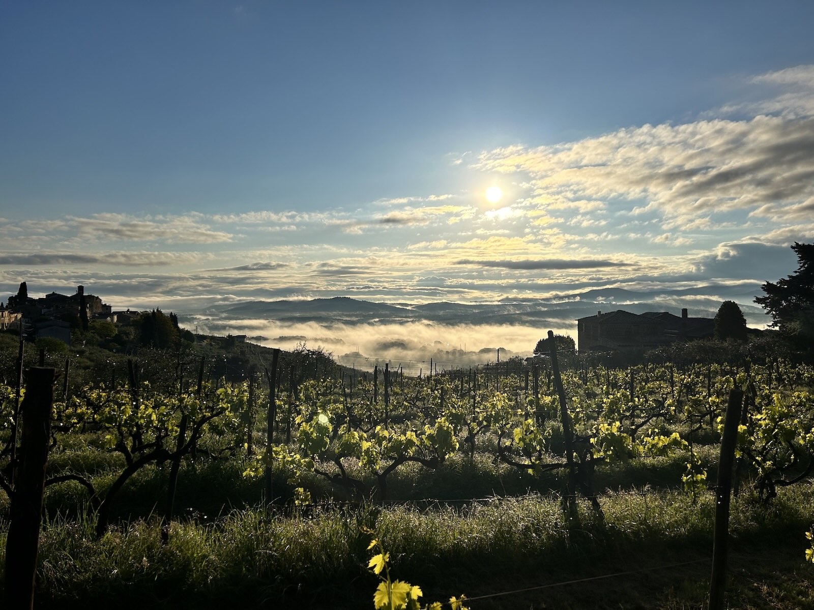 Tramonto sulle colline toscane
